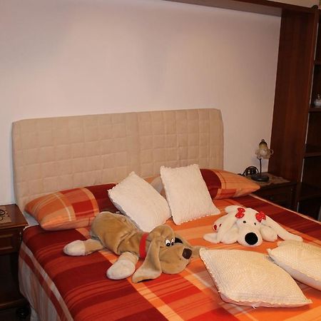 Patrick'S House Apartment Belluno Luaran gambar